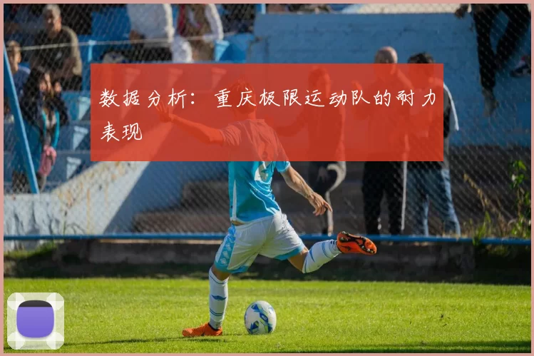 数据分析：重庆极限运动队的耐力表现