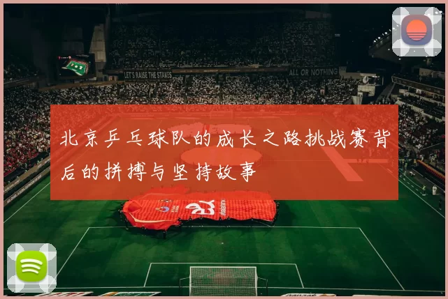 北京乒乓球队的成长之路挑战赛背后的拼搏与坚持故事