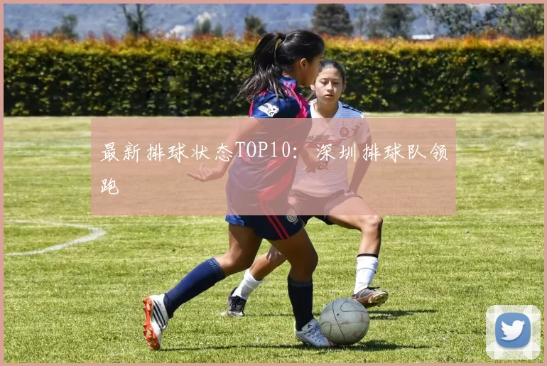 最新排球状态TOP10：深圳排球队领跑
