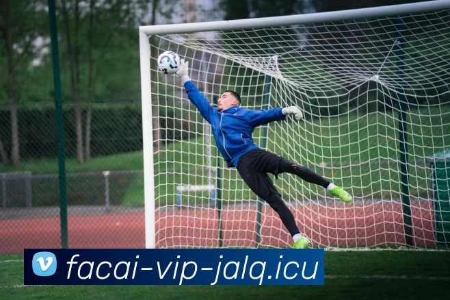 日本足球明星现状与未来潜力球员全面分析与盘点